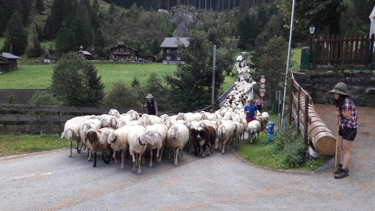 Fewo "Unterm Wald" Stumm Bagian luar foto